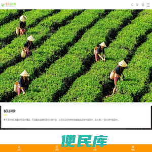 春天茶叶网