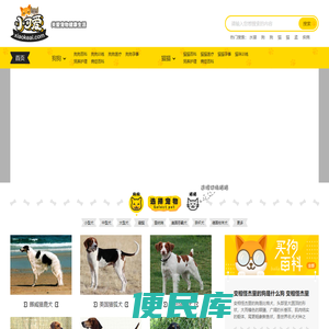 粉爪网