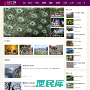 巨涨信息网