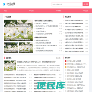 114花卉网