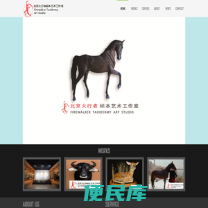 北京火行者标本技术开发有限公司