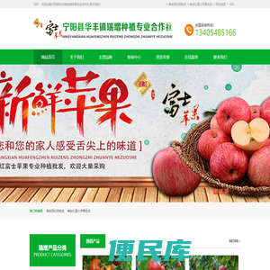 泰安西红柿批发