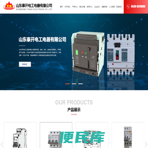 山东泰开电工电器有限公司