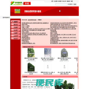 安徽合肥照军苗木基地
