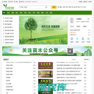 123苗木网