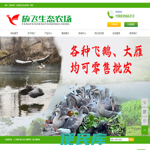 大雁苗