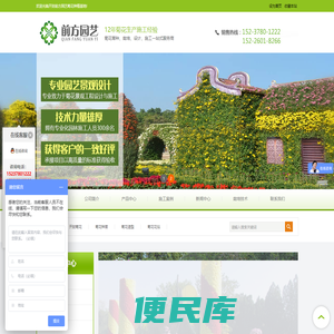 开封菊花