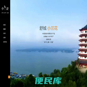 舒城小兰花茶