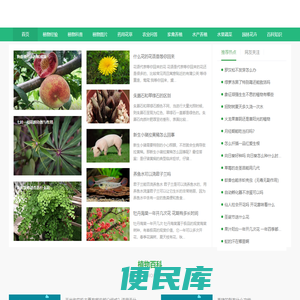 植物养殖分享