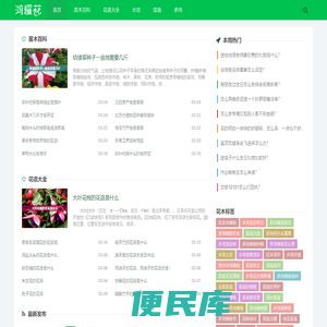 鸿耀花