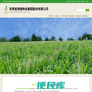 敦煌种业