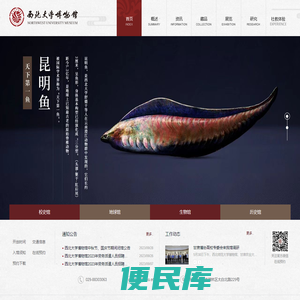 西北大学博物馆