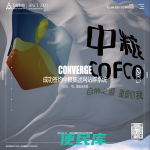 网络品牌策划公司,北京网站建设,高端网站建设,网站设计,专业网站设计