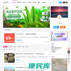 库拉索芦荟网