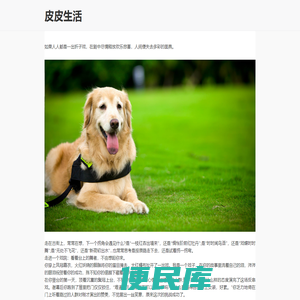 皮皮百科