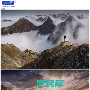 九零拍档网络