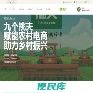 安徽九个挑夫电子商务有限公司