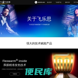 飞乐思