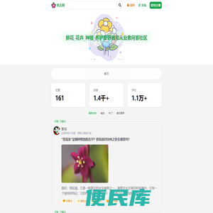 鲜花