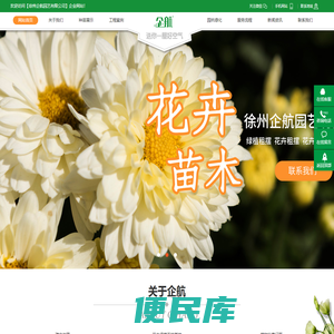 徐州绿植花卉租摆