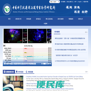 中国科学院遗传与发育生物学研究所