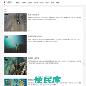 凉槐·钓鱼百科