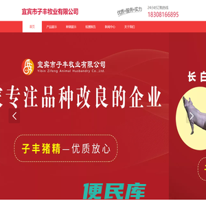 宜宾市子丰牧业有限公司