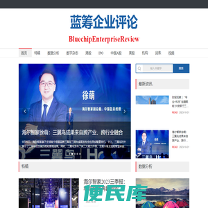蓝筹企业评论