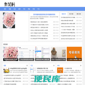 斯诺网