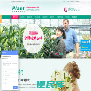 进口种球