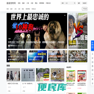 盈盈宠物网