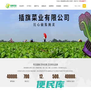 湖南插旗菜业有限公司