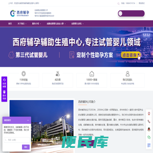 成都试管婴儿