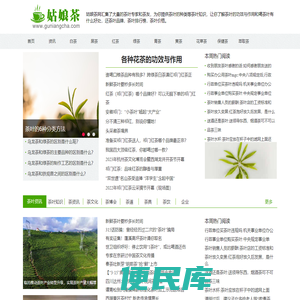姑娘茶网