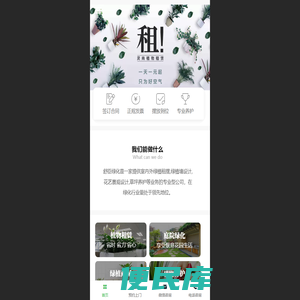 上海武汉植物租赁公司,上海武汉办公室绿化植物花卉租赁养护