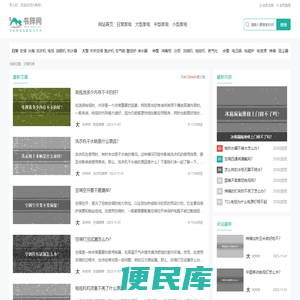 大修网