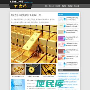 中金网