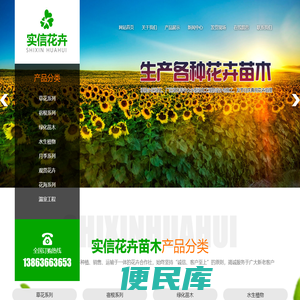 青州市实信花卉苗木有限公司,青州草花,宿根花卉,绿化苗木价格