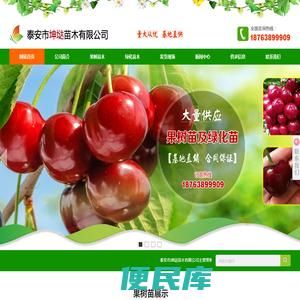 泰安市坤苗木有限公司
