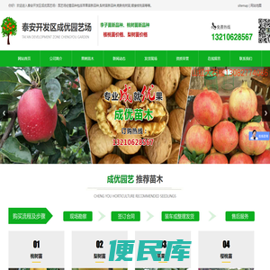 李子苗