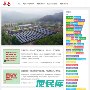 破壁灵芝孢子粉的功效作用及禁忌与价格