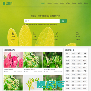 优植网