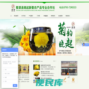 晓起黄菊