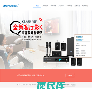 ZONGSON众声音响