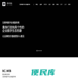 青岛博采网络