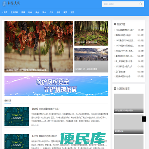 知合网
