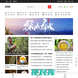 茶中网