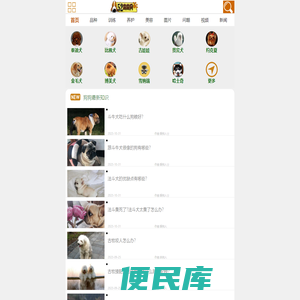52狗狗网