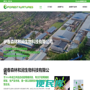 甜菊<font color='#ff7200'>糖苷</font>市场价格行情,甜菊糖生产批发