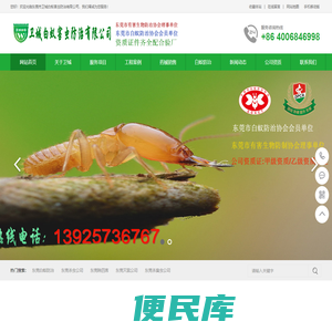 东莞白蚁防治